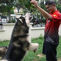 Paul Lam Photo 45