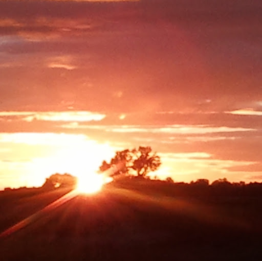 Diana Goodman Photo 29