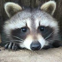 Jennie Weber Photo 8