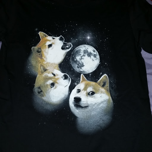 Brandon Ashby Photo 23