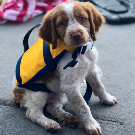 Justin Short Photo 44