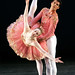 Michele Wiles Photo 14