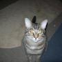 Mary Pyle Photo 27