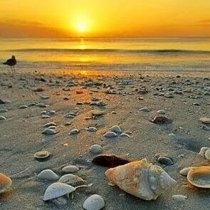 Michael Ragan Photo 19