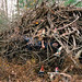 Kelly Burgess Photo 10