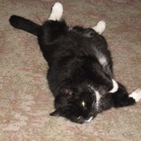 Sharon Drew Photo 27