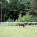 Vickie Young Photo 35