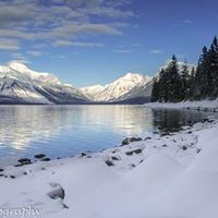 Cindy Hardy Photo 20