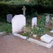 Lawrence Graves Photo 27