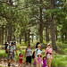 Marc Meadows Photo 18