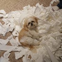 Julie Mcgowan Photo 17