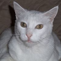 Debbie Case Photo 37