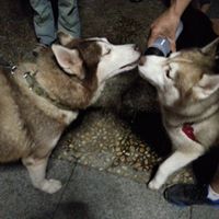 Jo Theodore Photo 11