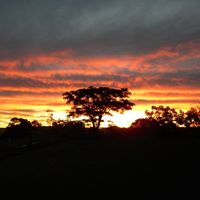 Lorraine Currie Photo 13