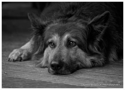 Ryan Barwick Photo 17