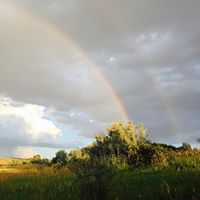 Cathy Elliott Photo 8