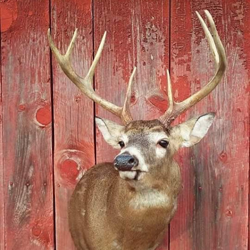 Michael True Photo 35 Michael True Photo 35