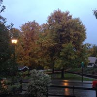 Susan Gayman Photo 7