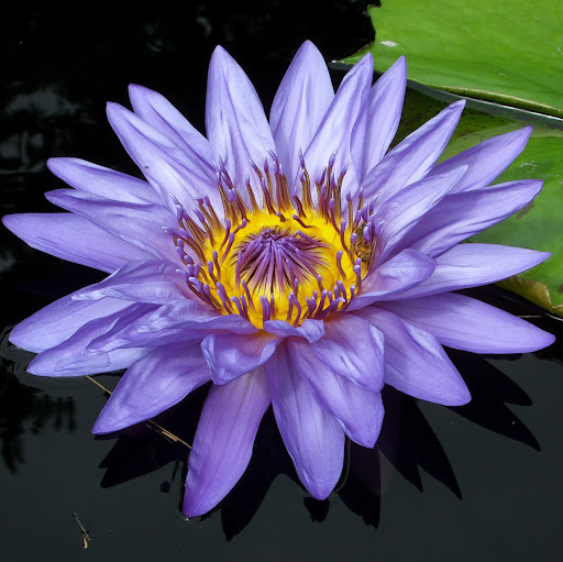 Kirsten Vaughn Photo 5