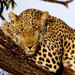 Brittany Hart Photo 23