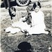 Betty Haskell Photo 15
