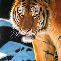 Michael Peek Photo 15