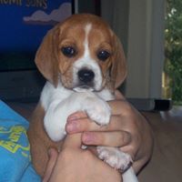 Nancy Davison Photo 39