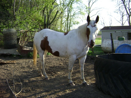 Donna Cox Photo 24