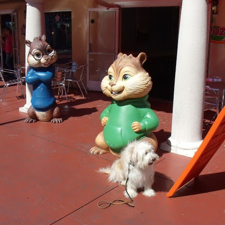 Barbara Hunter Photo 37