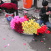 Thoa Bui Photo 8