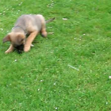 Judith Klein Photo 14