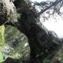 Stacey Ellis Photo 37