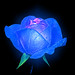 Judy Rose Photo 5