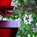 Susan Gall Photo 6