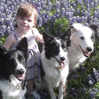 Jillian Spencer Photo 12 Jillian Spencer Photo 12