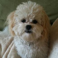 Charlie Tuttle Photo 8