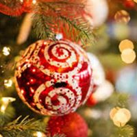 Stacey Wolfe Photo 18