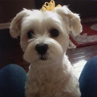 Elizabeth Bayne Photo 7