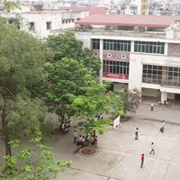 Quang Tran Photo 41