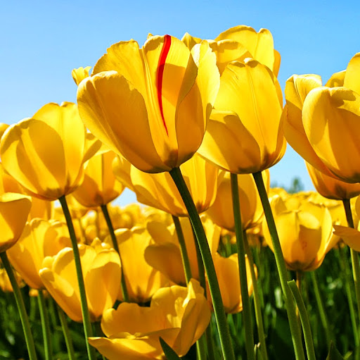 Marilyn Mills Photo 9