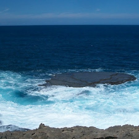 Wanda Thompson Photo 28