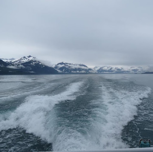 Barbara Steiner Photo 34