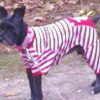 Kathleen Kemp Photo 10