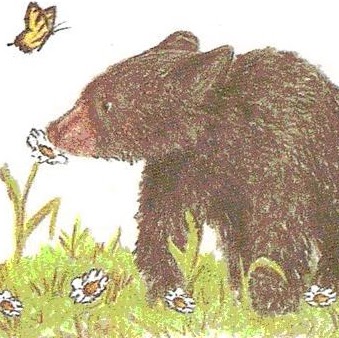 Sherry Harrison Photo 41