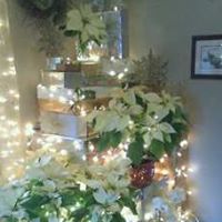 Ellen Howell Photo 10