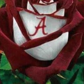 Sherry Morgan Photo 19