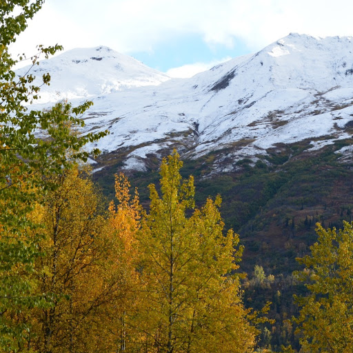 Tammy Glover Photo 35