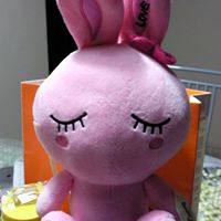 Min Zheng Photo 16