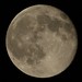 Ronald Moon Photo 27