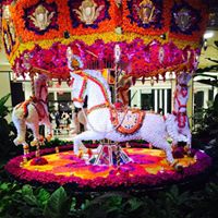 Sophia Davis Photo 16 Sophia Davis Photo 16